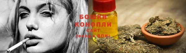 спиды Нефтекумск