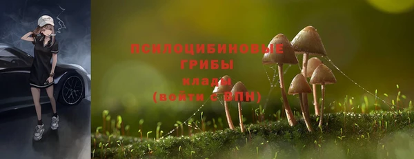 спиды Нефтекумск