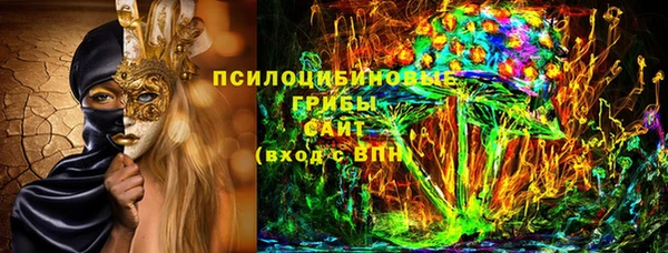 прущий лед Нея