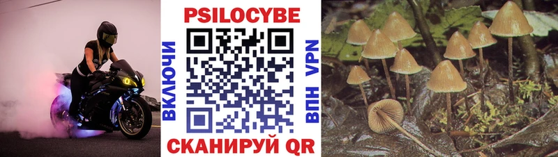Галлюциногенные грибы мицелий  даркнет сайт  Янаул 
